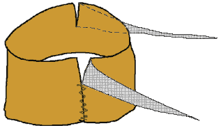 Schnatz Kostüm