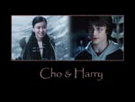 Wallpaper Cho and Harry