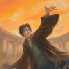 Harry Potter and the Deathly Hallows Buch Book 7 Avatar