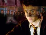 Wallpaper Dumbledore's Army DA Dumbledores Armee