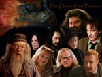 Wallpaper The Order of the Phoenix Orden