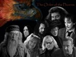Wallpaper The Order of the Phoenix Orden